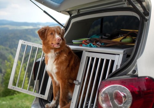 Is het veilig voor honden om in vracht te reizen?