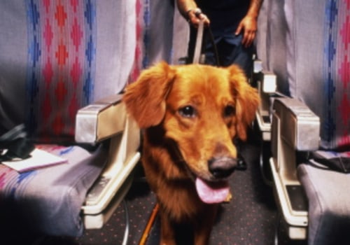 Waar worden honden opgeslagen in vliegtuigen?